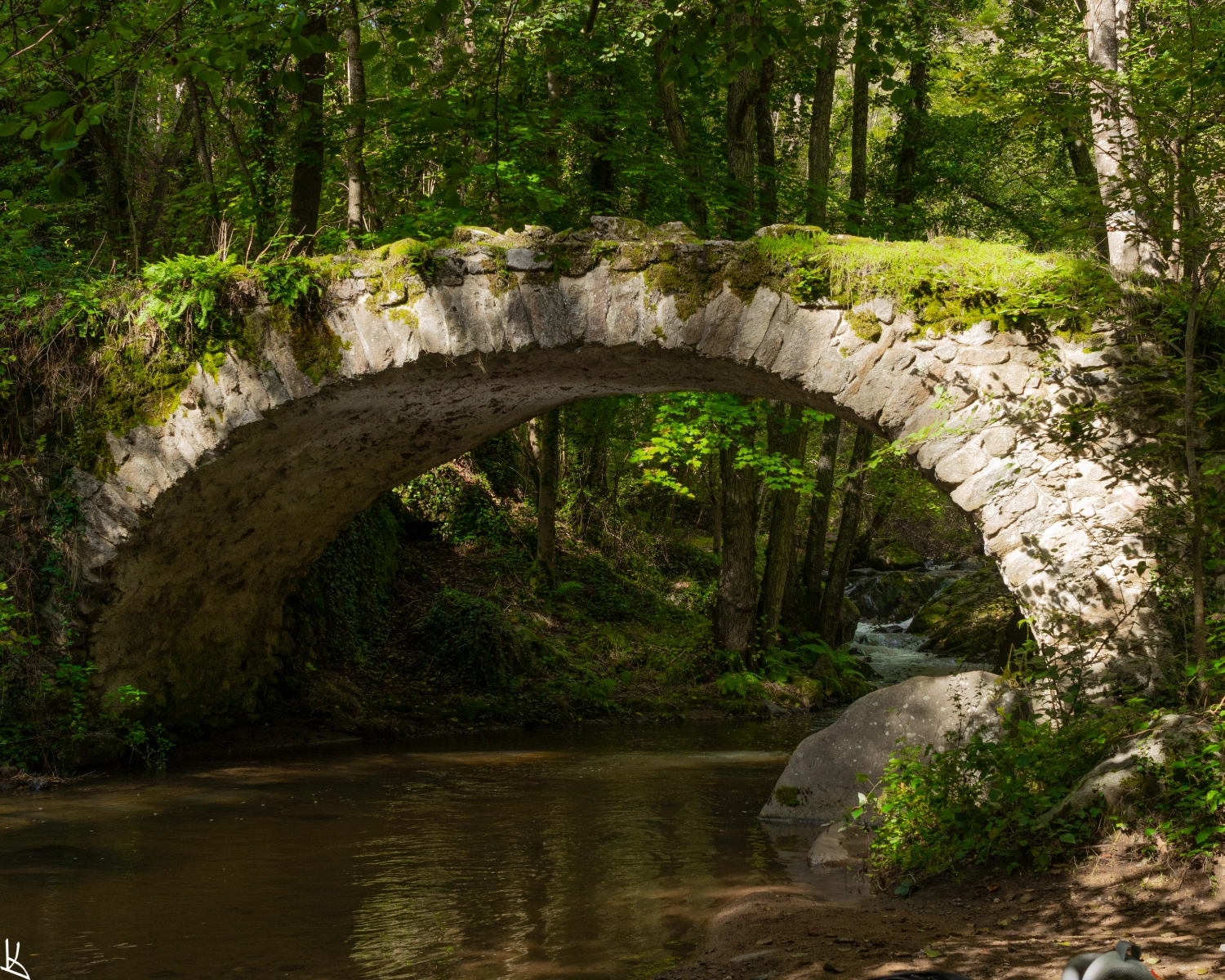 Petit pont de pierre au dessus de la Monne